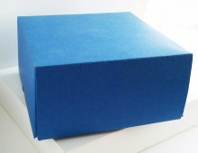 Blue box cardboard with no printing